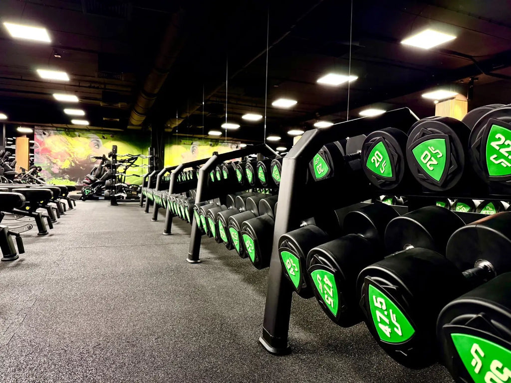 Hantelreifenhalter (10 Paar) UR-S003-2 - UpForm – Ansicht 3