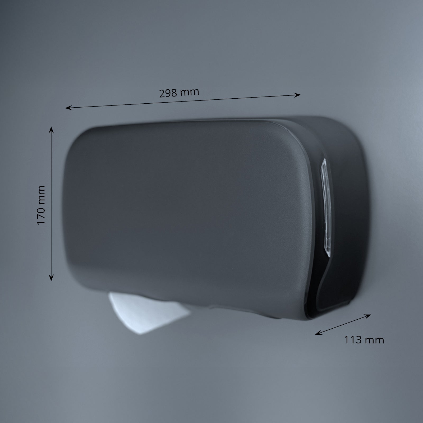 Toilettenpapierspender, für 2 Rollen