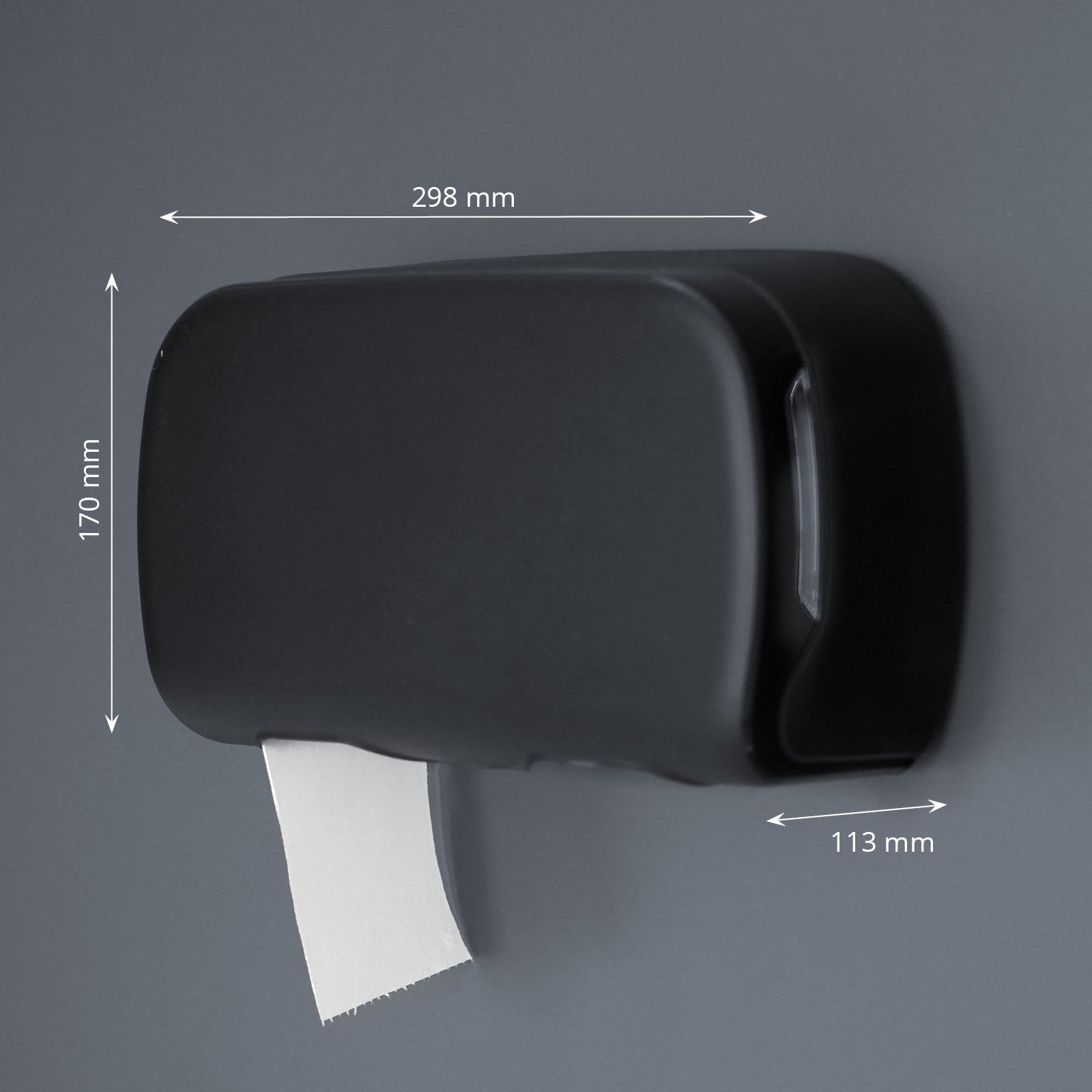 Toilettenpapierspender, für 2 Rollen, kernlos